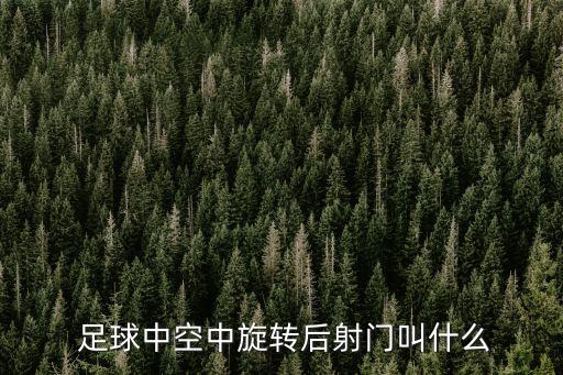  足球中空中旋轉(zhuǎn)后射門(mén)叫什么
