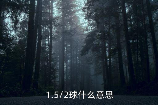  1.5/2球什么意思