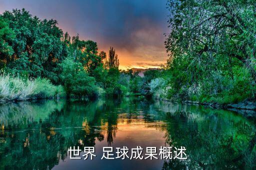 世界 足球成果概述