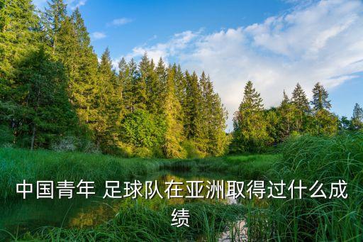 中國青年 足球隊在亞洲取得過什么成績
