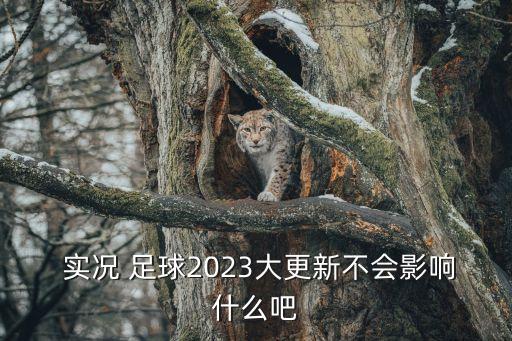  實(shí)況 足球2023大更新不會(huì )影響什么吧