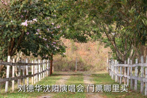 力帆足球門票