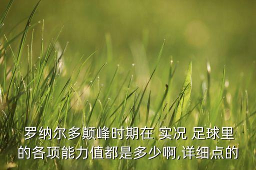  羅納爾多顛峰時期在 實況 足球里的各項能力值都是多少啊,詳細點的