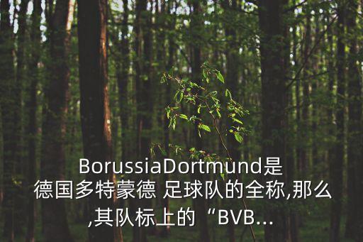 BorussiaDortmund是 德國多特蒙德 足球隊的全稱,那么,其隊標(biāo)上的“BVB...