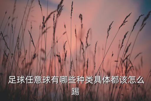  足球任意球有哪些種類(lèi)具體都該怎么踢