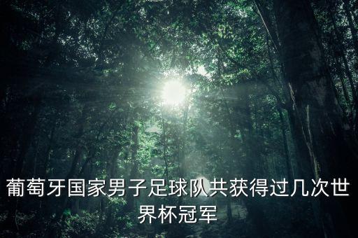 葡萄牙國(guó)家男子足球隊(duì)共獲得過(guò)幾次世界杯冠軍