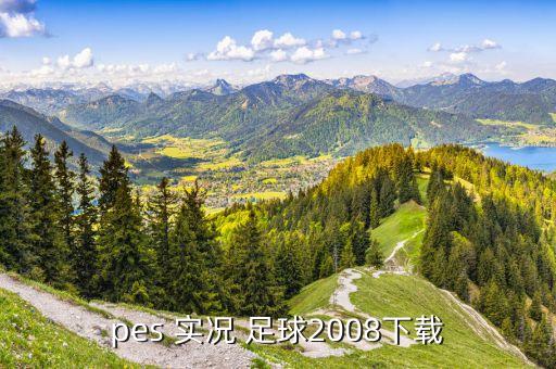 實況足球2008補丁