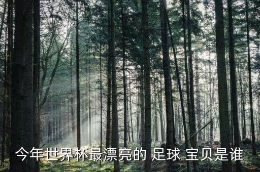 今年世界杯最漂亮的 足球 寶貝是誰