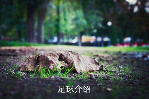 足球介紹