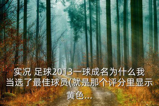 實(shí)況 足球2013一球成名為什么我當(dāng)選了最佳球員(就是那個(gè)評(píng)分里顯示黃色...