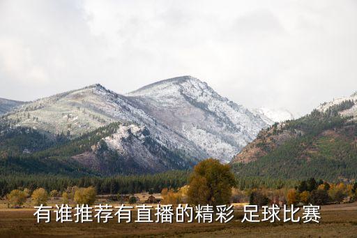有誰推薦有直播的精彩 足球比賽