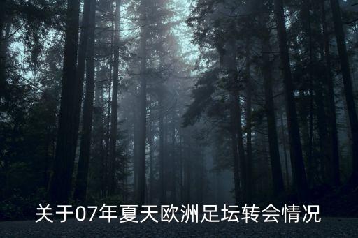關(guān)于07年夏天歐洲足壇轉(zhuǎn)會(huì)情況