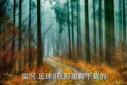  實(shí)況 足球8在那里有下載的