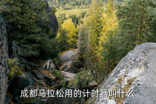 成都馬拉松用的計(jì)時(shí)器叫什么
