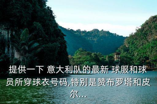 提供一下 意大利隊的最新 球服和球員所穿球衣號碼,特別是贊布羅塔和皮爾...