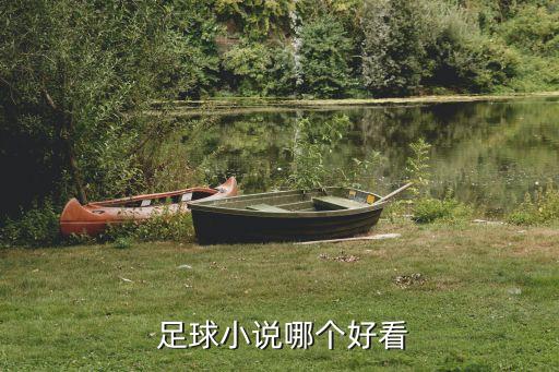  足球小說哪個(gè)好看