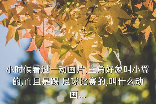小時候看過一動畫片,主角好象叫小翼的,而且是踢 足球比賽的,叫什么動畫...