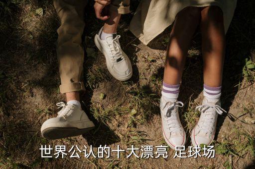 濰坊圣西羅足球會所