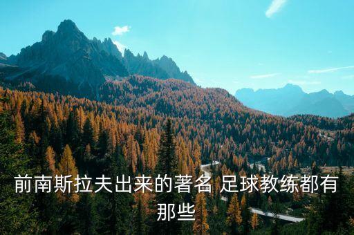 前南斯拉夫出來的著名 足球教練都有那些