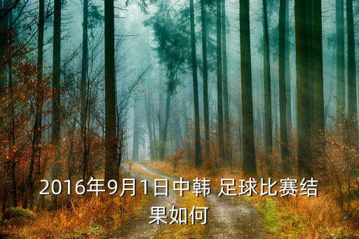 2016年9月1日中韓 足球比賽結(jié)果如何