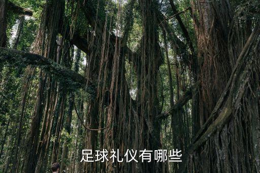  足球禮儀有哪些
