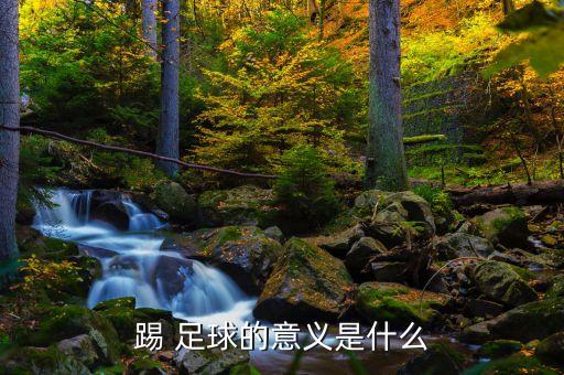 對(duì)足球的理解與看法,談?wù)勀銓?duì)足球的理解和看法