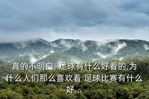 真的不明白, 足球有什么好看的,為什么人們那么喜歡看 足球比賽有什么好...