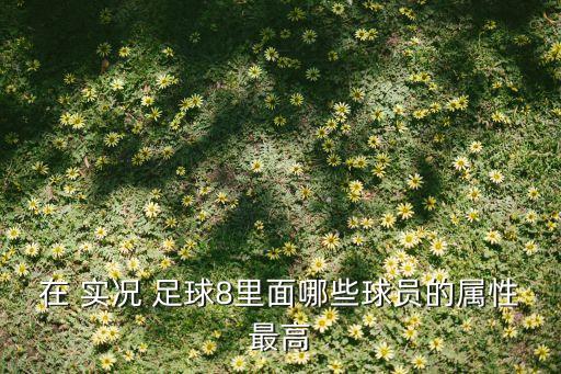 在 實(shí)況 足球8里面哪些球員的屬性最高