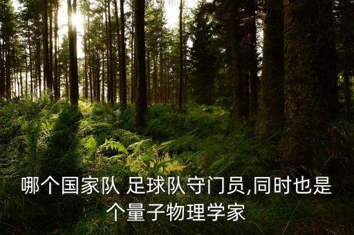 哪個國家隊 足球隊守門員,同時也是個量子物理學(xué)家
