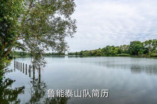 魯能泰山隊(duì)簡(jiǎn)歷