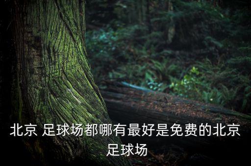 北京 足球場都哪有最好是免費的北京 足球場