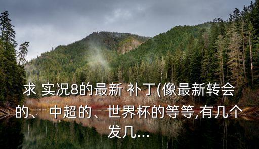 求 實況8的最新 補丁(像最新轉(zhuǎn)會的、 中超的、世界杯的等等,有幾個發(fā)幾...