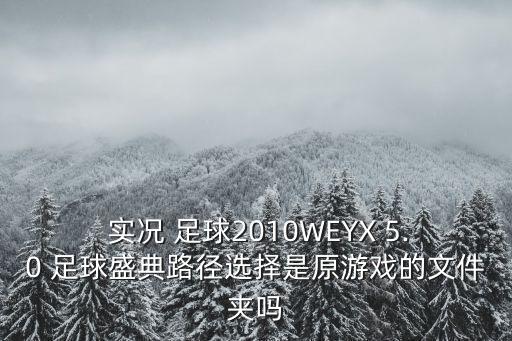  實況 足球2010WEYX 5.0 足球盛典路徑選擇是原游戲的文件夾嗎