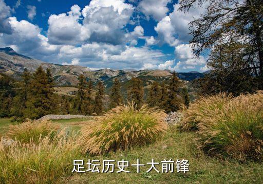 足壇歷史十大前鋒