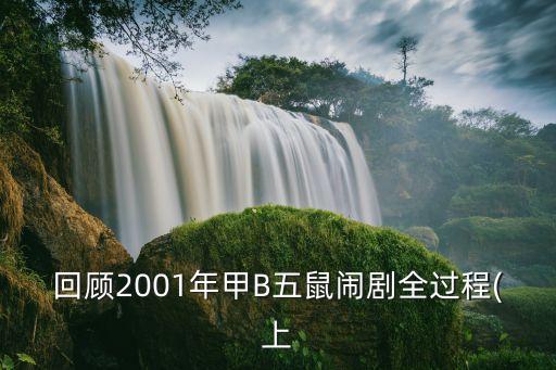 回顧2001年甲B五鼠鬧劇全過程(上