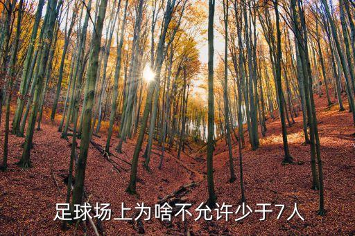  足球場上為啥不允許少于7人