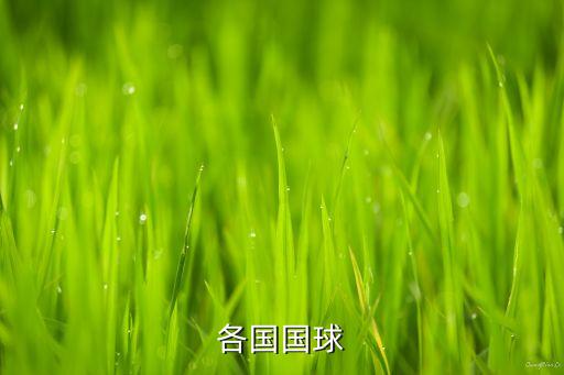 各國國球