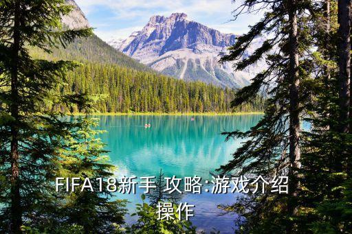 FIFA18新手 攻略:游戲介紹 操作