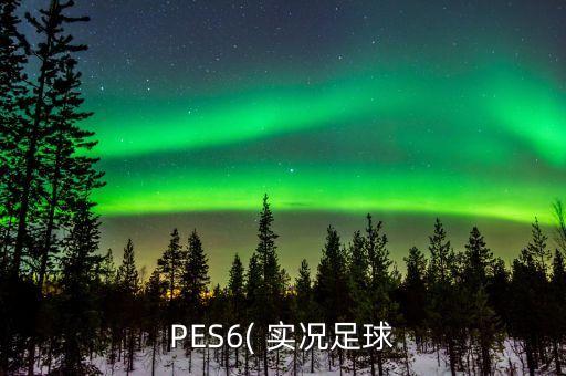 PES6( 實(shí)況足球
