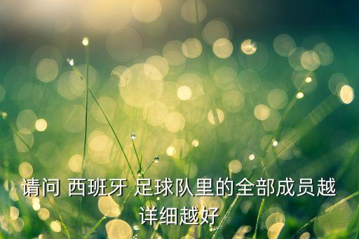 請問 西班牙 足球隊(duì)里的全部成員越詳細(xì)越好