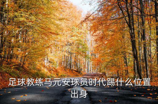 石家莊市足球體校