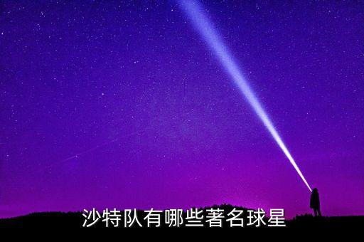  沙特隊有哪些著名球星
