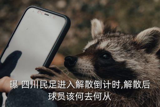 四川 現(xiàn)役 足球運(yùn)動(dòng)員,世界現(xiàn)役足球運(yùn)動(dòng)員身價(jià)排名