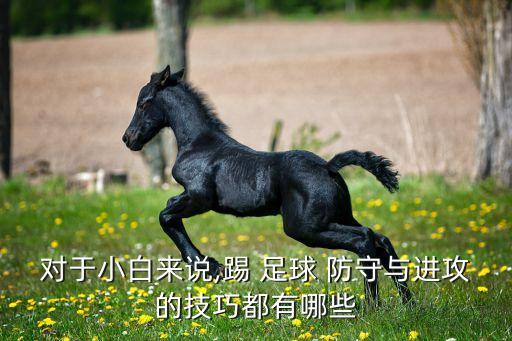 對于小白來說,踢 足球 防守與進攻的技巧都有哪些