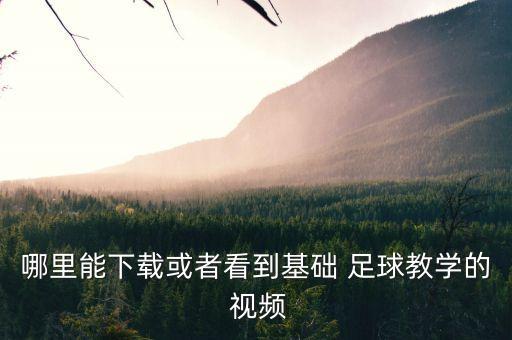 哪里能下載或者看到基礎(chǔ) 足球教學(xué)的 視頻