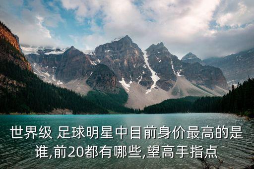 世界級(jí) 足球明星中目前身價(jià)最高的是誰(shuí),前20都有哪些,望高手指點(diǎn)