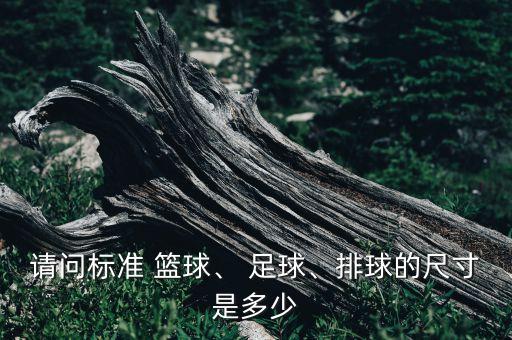 請(qǐng)問(wèn)標(biāo)準(zhǔn) 籃球、 足球、排球的尺寸是多少