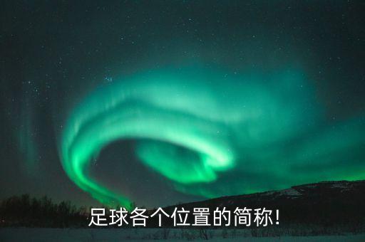  足球各個位置的簡稱!
