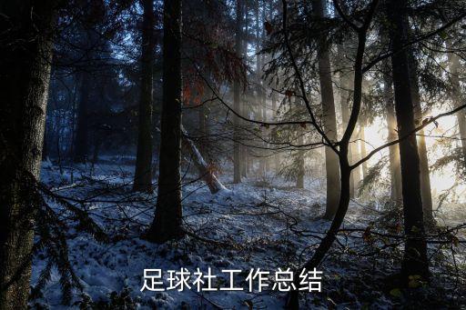 足球社工作總結(jié)