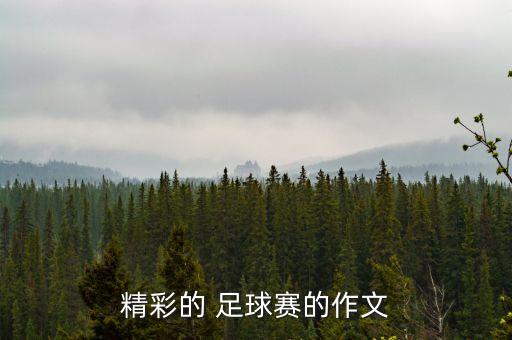 精彩的 足球賽的作文